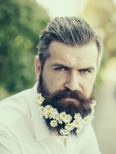 Handsome man with flowers in beard - Foto, Imagem