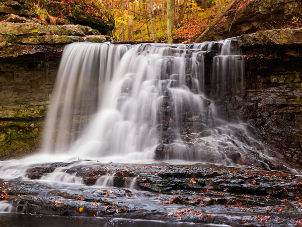 McCormick 's Creek Falls en otoño
 - Foto, imagen