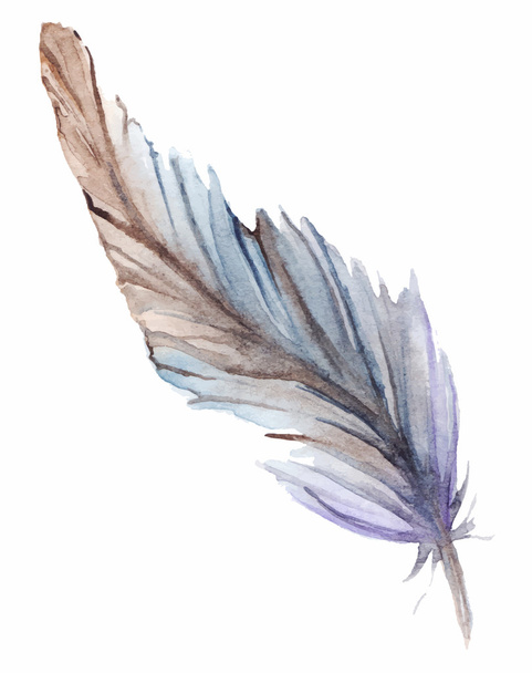 Watercolor gray grey blue violet brown feather set isolated - Вектор,изображение