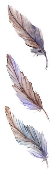 Ακουαρέλα γκρι γκρι μπλε βιολετί καφετί φτερό οριστεί απομονωμένες - Διάνυσμα, εικόνα