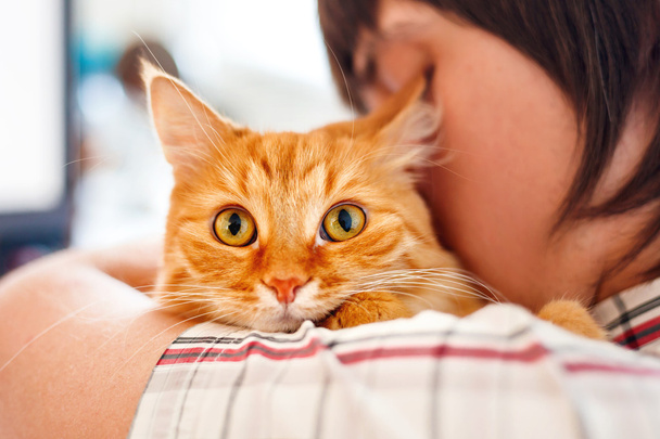 Man in shirt holding ginger cat. Funny pet looks curious. - Valokuva, kuva