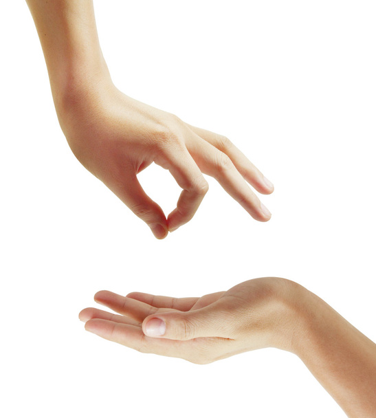 Hand on a white background - Photo, image