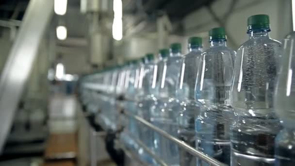 Linia do rozlewania wody mineralnej w butelkach - Materiał filmowy, wideo