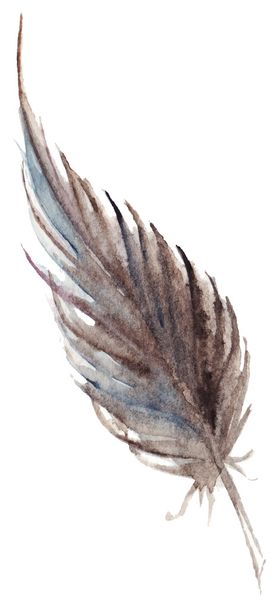Watercolor brown gray grey single feather vector isolated - Vector, Image
