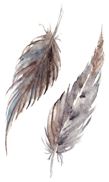Watercolor brown gray grey feather pair vector set isolated - Wektor, obraz