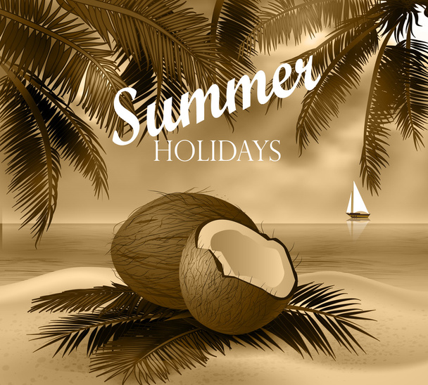 Coconut tropical nut background - Vettoriali, immagini