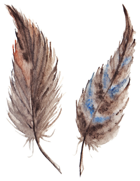 Ακουαρέλα καφέ γκρι γκρι φτερό ζευγάρι οριστεί απομονωμένες - Φωτογραφία, εικόνα