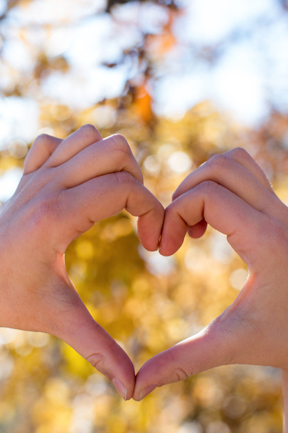 kalp doğa arka plan üzerinde eller. Sevgililer günü kalp şekli - Fotoğraf, Görsel