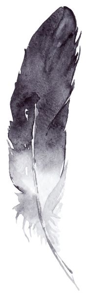 Akvarell, fekete-fehér egyetlen toll vektor elszigetelt - Vektor, kép