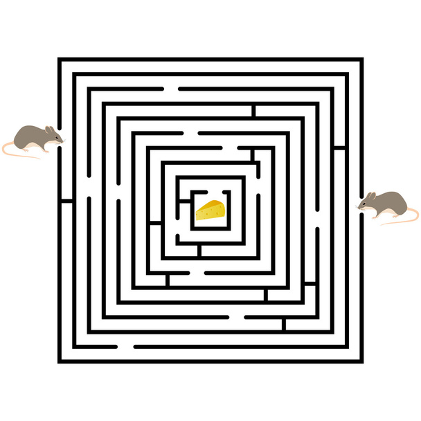 labyrinth on white - Vector, Image