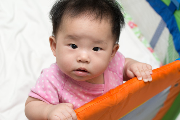 asiatisches Baby im Laufstall - Foto, Bild