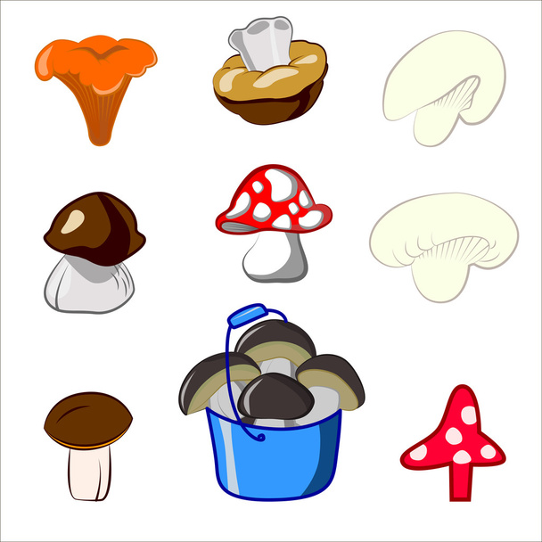 Vector set cartoon illustration of mushrooms. Boletus edulis, chanterelle, mushroom, boletus. Network of sdobnyh yadoaityh and mushrooms - Vektor, Bild