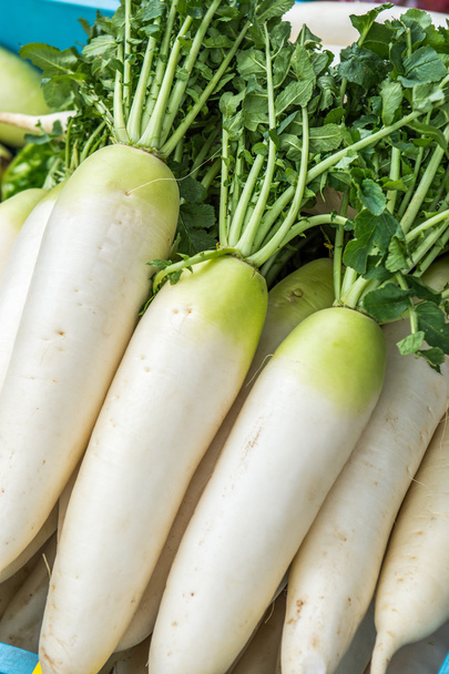 Daikon biały chiński korzeń warzyw na rynku - Zdjęcie, obraz