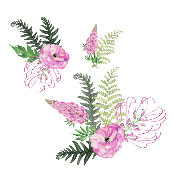 bouquets d'aquarelle avec ranunculus et lupin
 - Photo, image