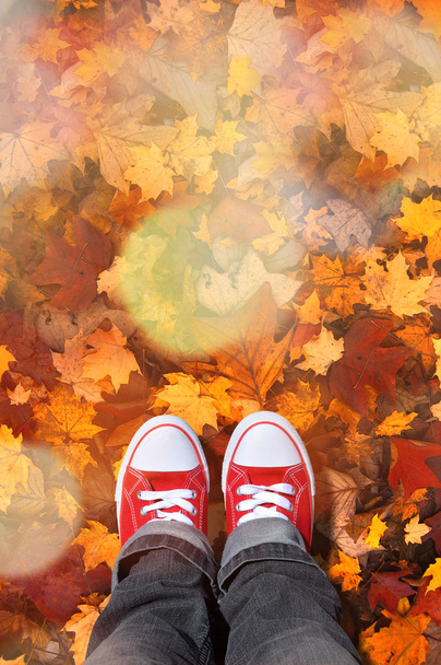 κόκκινα παπούτσια με ξερά φύλλα - Φωτογραφία, εικόνα