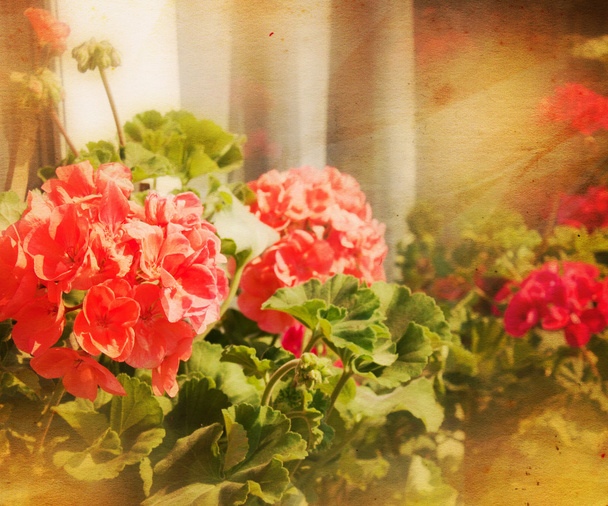 Weinlese Blumen Hintergrund - Foto, Bild
