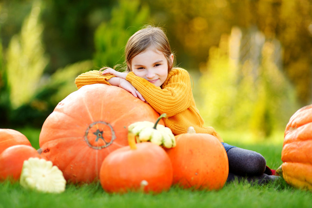 Girl having fun on a pumpkin patch  - 写真・画像
