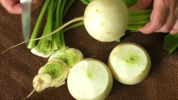 Tasty fresh crude white round japanese radish with green stems and leaves - Footage, Video
