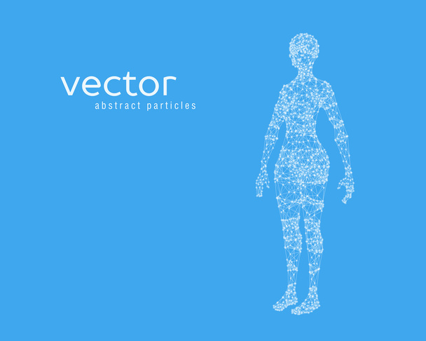 Vector illustration of female body - Vektori, kuva