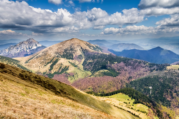 slowakische kleine Fatra-Hügel - Stoh und große Rozsutec-Gipfel - Foto, Bild