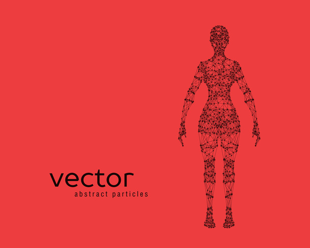 Vector illustration of female body - Vetor, Imagem