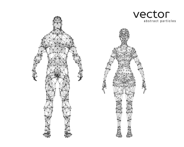 Vector illustration of male and female body - Διάνυσμα, εικόνα
