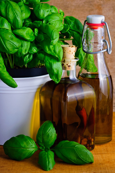 Infused herbal oil and basil - Фото, зображення