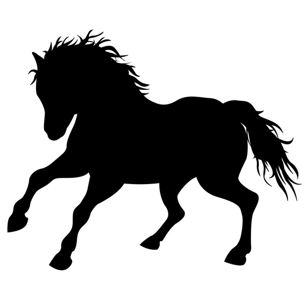 Чорний кінь силует
  - Вектор, зображення