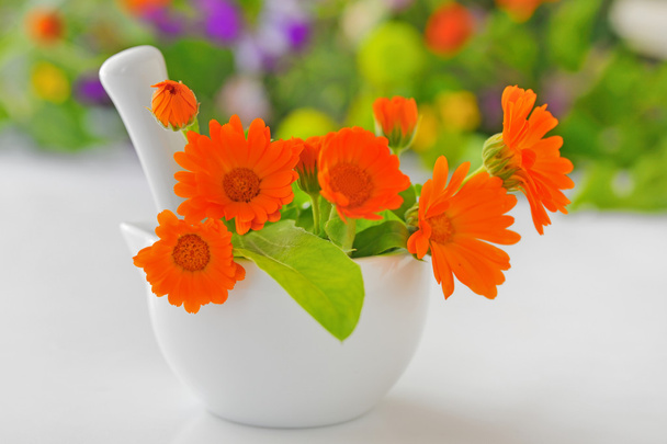 Цветы календулы
 - Фото, изображение