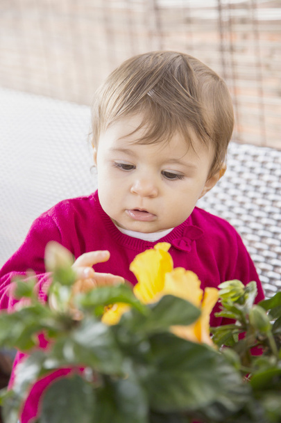 Bébé fille regardant des fleurs jaunes
 - Photo, image