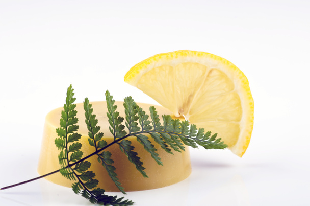 massage oil on a white background with a fern - Photo, Image