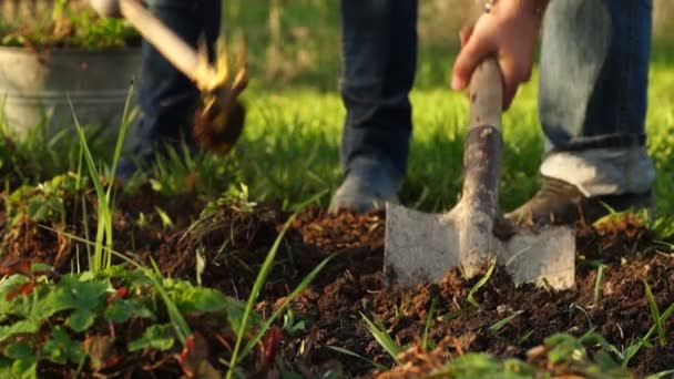 カップル掘り庭のベッド - 映像、動画