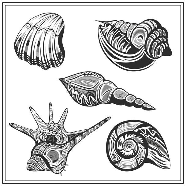 Set black and white seashells - Διάνυσμα, εικόνα