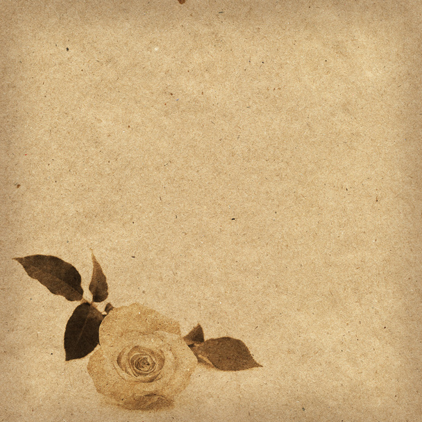 Paper background with rose - Foto, Imagem
