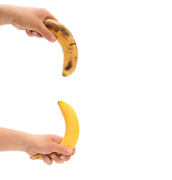 les mains gauches tenant une banane fraîche vers le haut et une banane trop mûre vers le bas comme pénis de mens comme concept de puissance avec le chemin de coupure
 - Photo, image