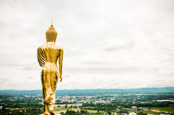 The buddha statue. - Foto, Imagem