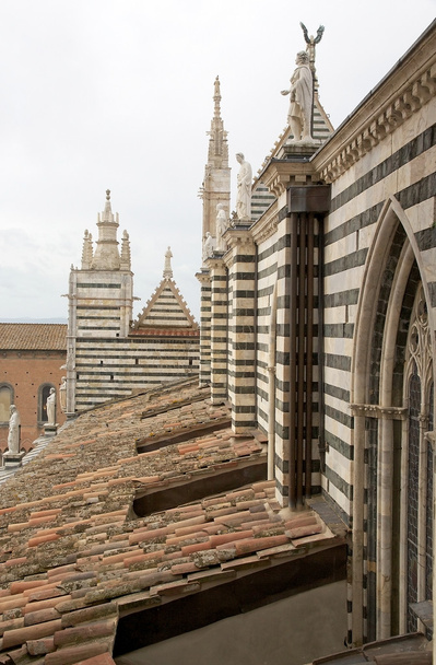 Сієна собору Сієни, Тоскана, Італія - Фото, зображення