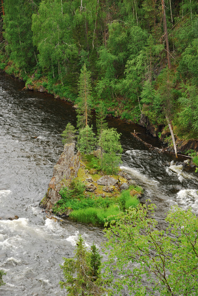 snelle rivier met klein eiland in de taiga bos, juuma, finland - Foto, afbeelding
