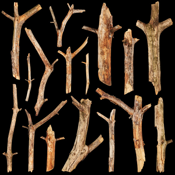 Conjunto de palitos de árvores
 - Foto, Imagem