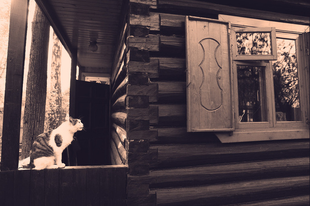 retro kuva talon ikkuna ja kissa
 - Valokuva, kuva