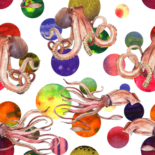 Watercolor squid, octopus - Foto, afbeelding