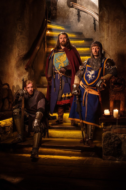 Re medievale con i suoi cavalieri
  - Foto, immagini