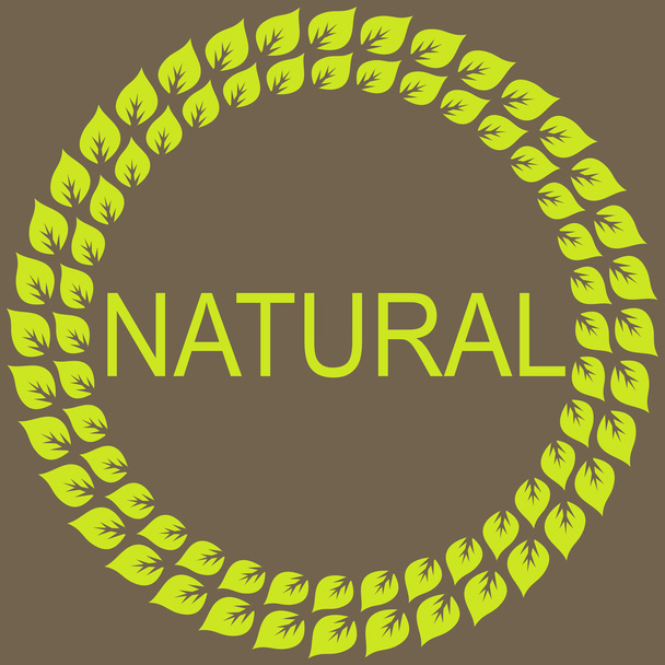 leaf natural frame - Διάνυσμα, εικόνα