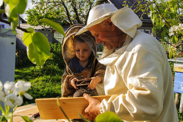 imker grootvader en kleinzoon onderzoeken een bijenkorf - Foto, afbeelding
