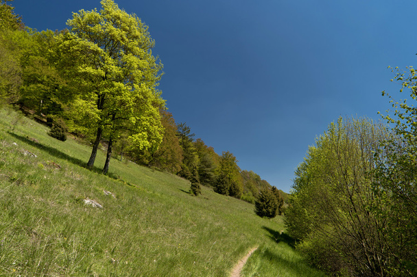 On the Altmuehltal Panorama Trail in Germany - 写真・画像