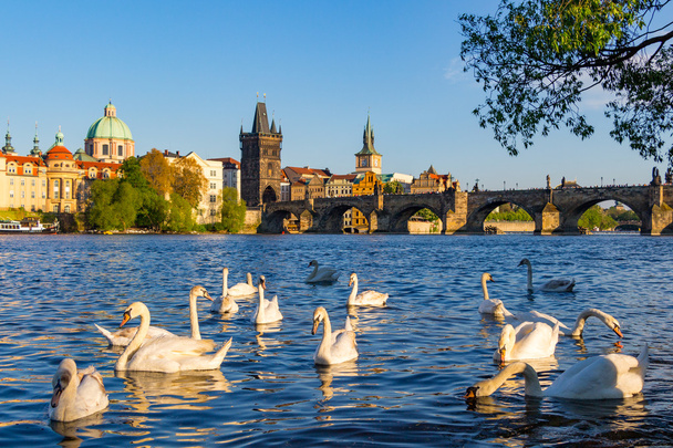 View of the Vltava River  - Photo, Image