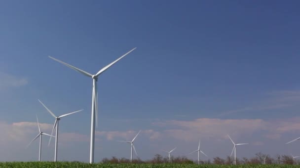 Tuuliturbiinit sinistä taivasta vasten - Materiaali, video