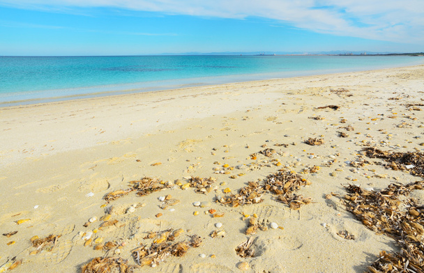 keltainen ranta ja sininen meri Fiume Santossa
 - Valokuva, kuva