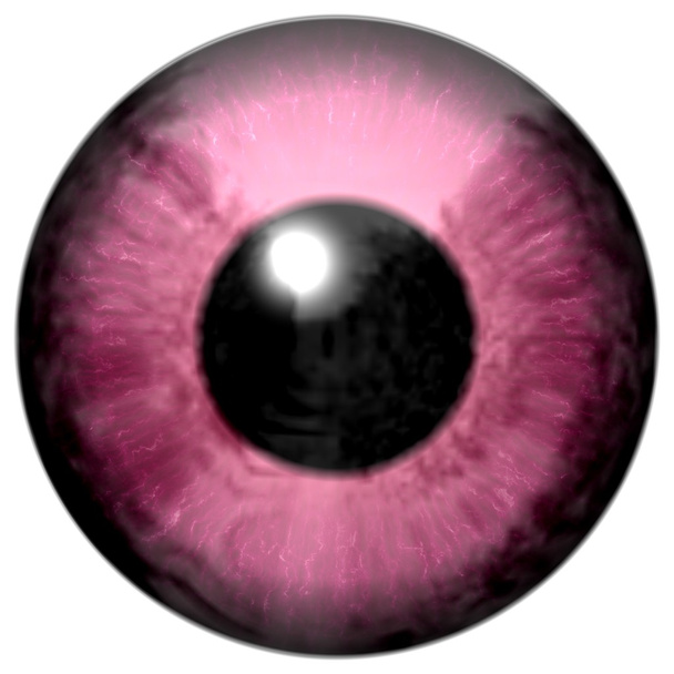 Detail des Auges mit rosafarbener Iris und schwarzer Pupille - Foto, Bild