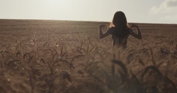 Young girl in a golden wheat field raising her hands in happiness in front of the sunset - Footage, Video
